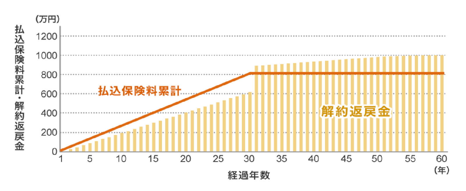 貯蓄型の保険の特徴
